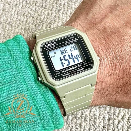 ساعت مچی مردانه کاسیوCASIO مدل W-217H-5AVDF