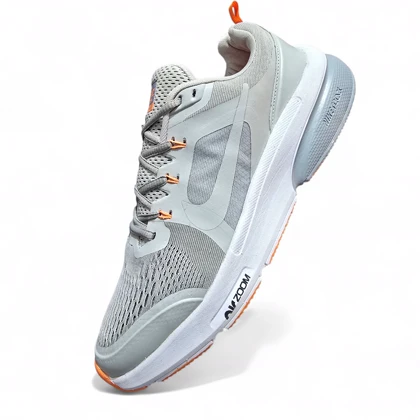 نایک پگاسوس بزرگپا طوسی