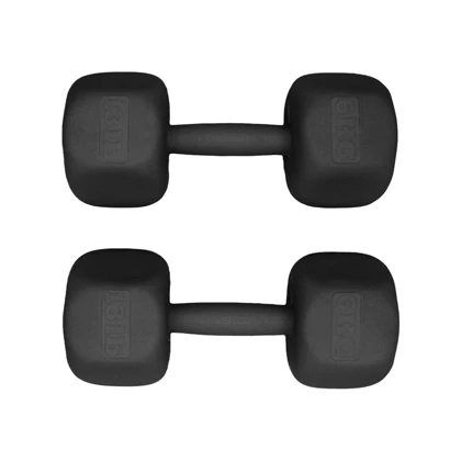 دمبل رادیس فیت مدل RFP-6 Power وزن 6 کیلوگرم بسته بندی دو عددی