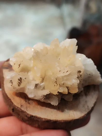 کلسیت برگی نباتی