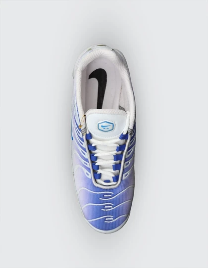 کفش ورزشی مردانه نایکی Air Max Plus TN M
