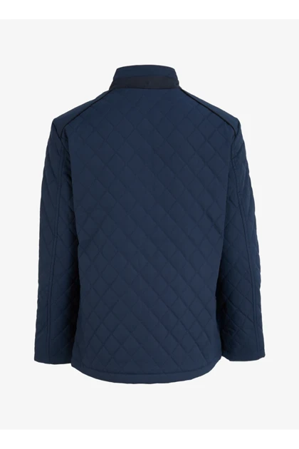 کت و کاپشن مردانه اورجینال altinyildiz-classics altinyildiz-classics