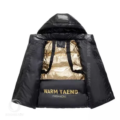 کاپشن مردانه The North Face مدل NB7