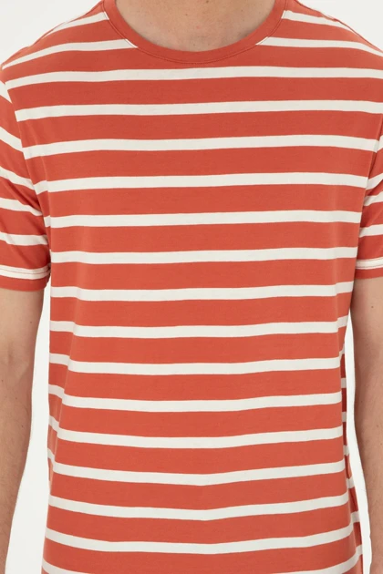 تیشرت مردانه اورجینال assn u.s.-polo-assn.