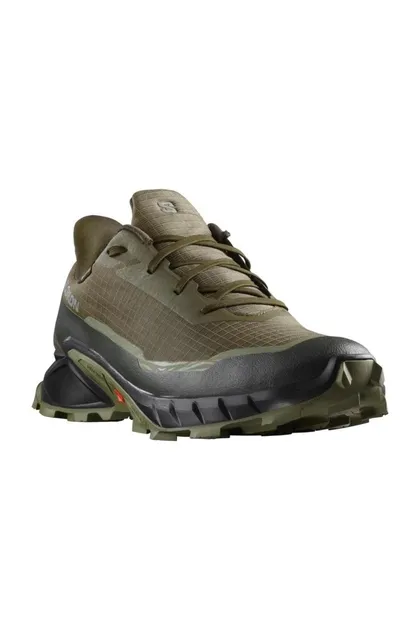 کفش مردانه در فضای باز Alphacross 5 Gtx L47310300