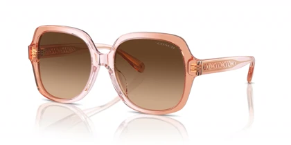 عینک آفتابی کوچ Coach HC8395U