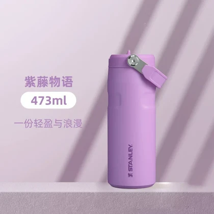 لیوان استیل عایق‌دار استنلی مدل Stanley Stay Chill Beer Pint با ظرفیت 480ml