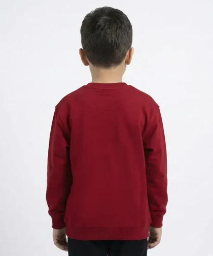 بلوز پسرانه مرینو Merino کد 1853