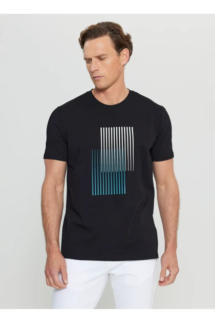 تیشرت مردانه اورجینال آلتین ییلدیز کلاسیک altinyildiz-classics