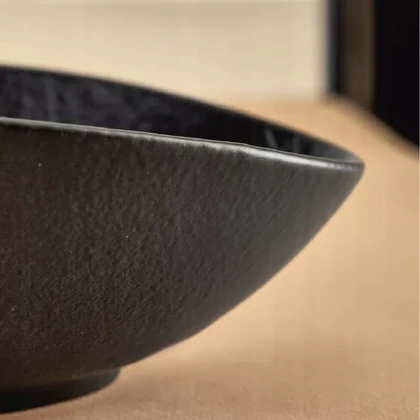 کاسه منحنی 4عددی - 230W