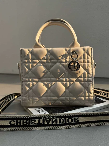 کیف رودوخت DIOR