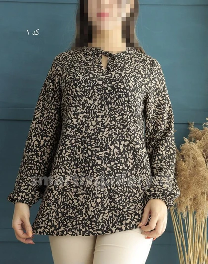 شومیز آیلین