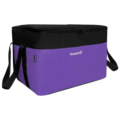 ساک پیک نیک مسافرتی فوروارد مدل FORWARD - FCLT44102