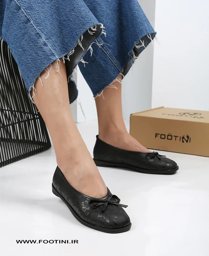 کالج پاپیونی 3003 ST