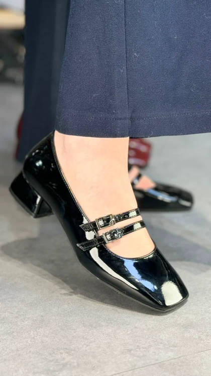 p316 - دو سگک خوکی p316