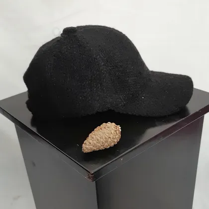 کلاه کپ مشکی مدل تدی