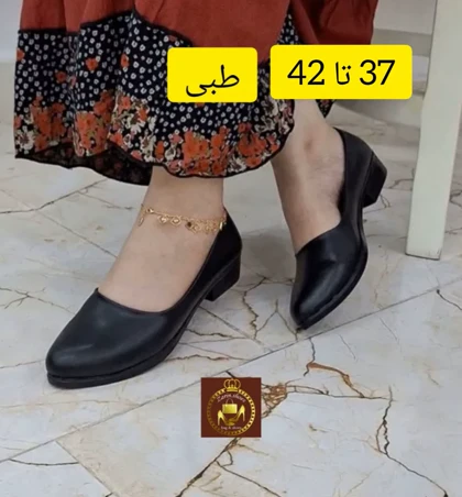کالج طبی زنانه سیلاس ساده