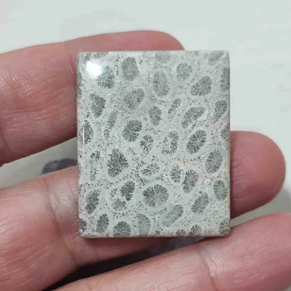 نگین مرجان فسیلی اصل کد 6