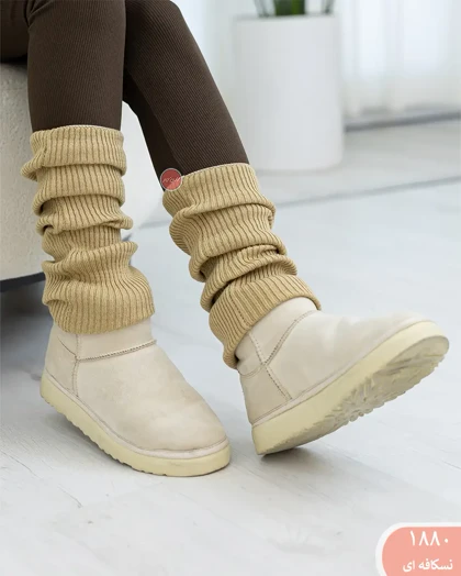 لگ وارمر 1880