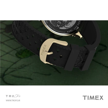 ساعت مچی عقربه ای مردانه تایمکس (Timex) مدل TW2Y05300