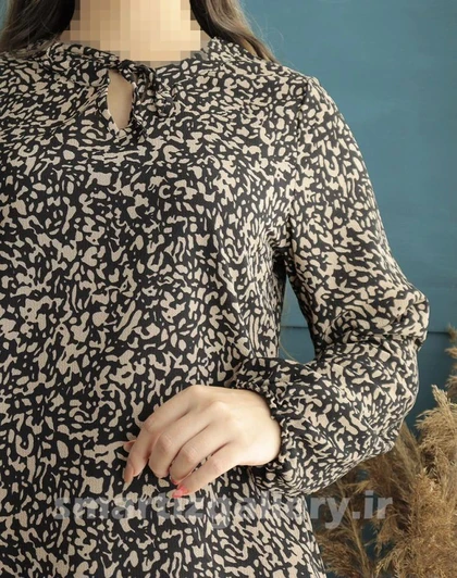 شومیز آیلین