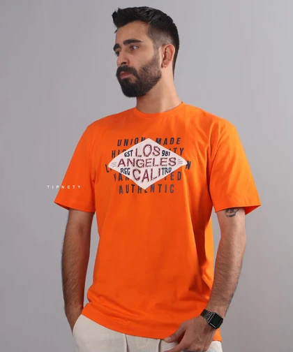 تیشرت طرح دار مردانه لس آنجلس 1189