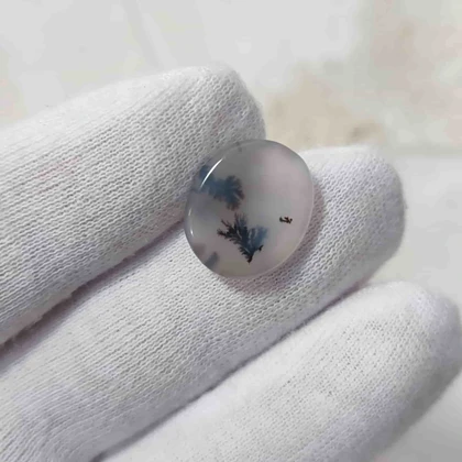 عقیق شجر قائن اصل کد 24