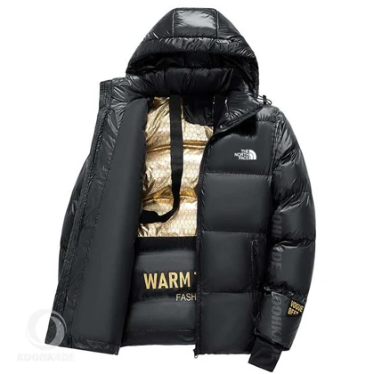 کاپشن مردانه The North Face مدل NB7