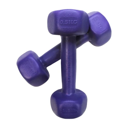 دمبل رادیس فیت مدل RP-0500 وزن 500 گرم بسته دو عددی