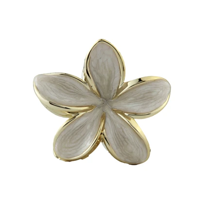 کلیپس دخترانه فانتزی پلومریا