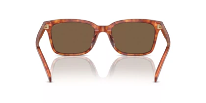 عینک آفتابی کوچ Coach HC8398U