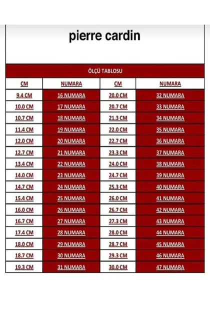 کفش کلاسیک مردانه pierre-cardin