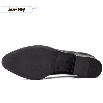 کفش مجلسی زنانه کد F107