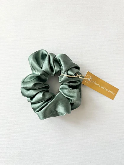 اسکرانچی 4040841