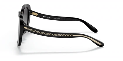 عینک آفتابی کوچ Coach HC8323U