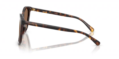 عینک آفتابی کوچ Coach HC8271U