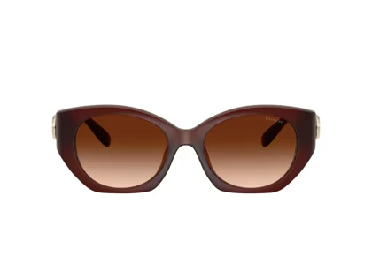 عینک آفتابی کوچ Coach HC8407U