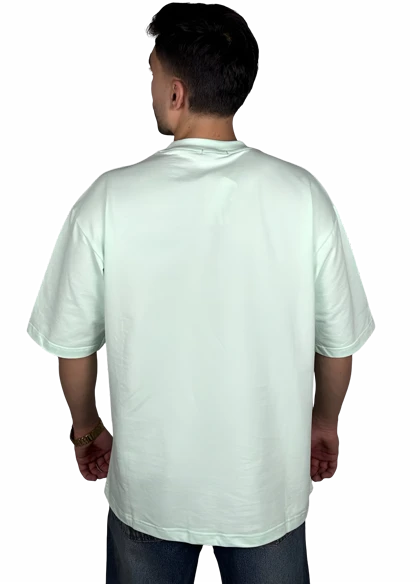 تیشرت آستین کوتاه مردانه سبز پاستلی طرح دار گرافیکی