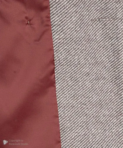 پالتو مانلی