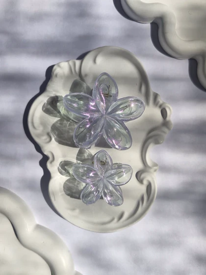 پک کلیپس -کد 1237