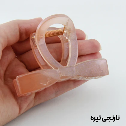 کلیپس دخترانه مدل پاپیون دو رنگ