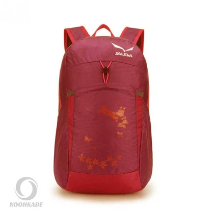 کوله حمله SALEWA 25 لیتر