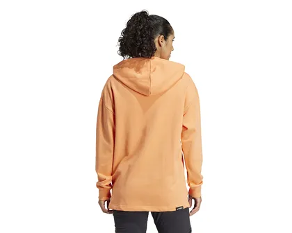 سویشرت های فضای باز Adidas W Terrex Logo Hoody PC_IS7227