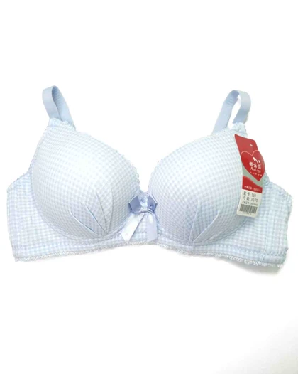 سوتین زنانه اسفنجی چهارخونه ریز سیلکا