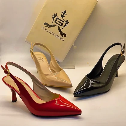 مجلسی پشت‌باز ظریف