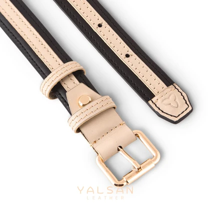 ست لاکچری زنانه چرم یلسان مدل آلندا کد 317-AZLIYA-RZA-DIL-LRN-GN