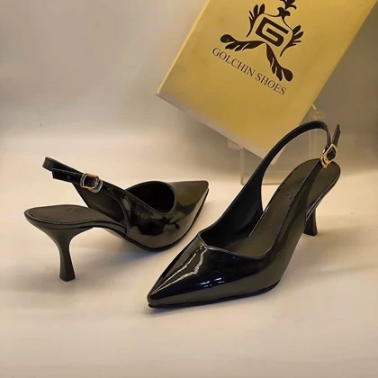 مجلسی پشت‌باز ظریف