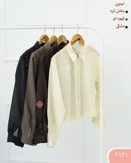 شومیز شیشه ای جلو زیپ زنانه 3121 | الینور