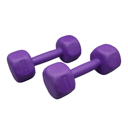 دمبل بدنسازی رادیس فیت وزن 2.5 کیلو گرم بسته دو عددی