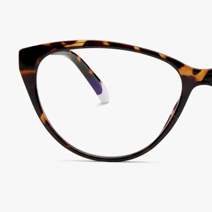 عینک مخصوص کامپیوتر بارنر Barner Astoria Glossy